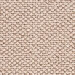 Wool Maldives Cowrie
