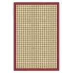 Jerry Woosie Rug With a Check Pattern and Red Border