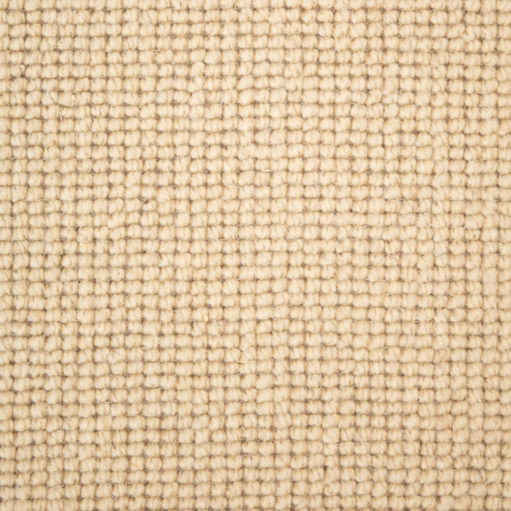 Impressions Loop – Boutique Beige