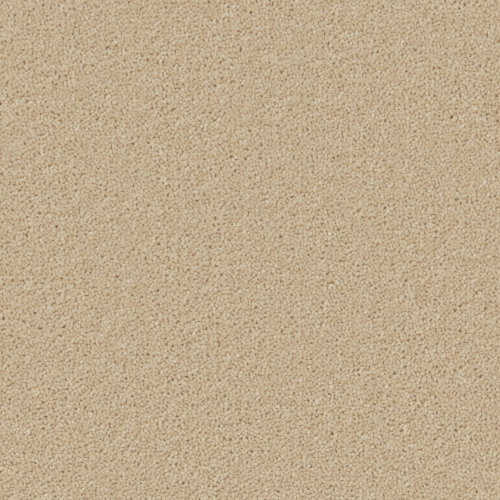 Fossil Hampstead By Cormar