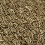 Seagrass Original Basketweave Natural Carpet UK