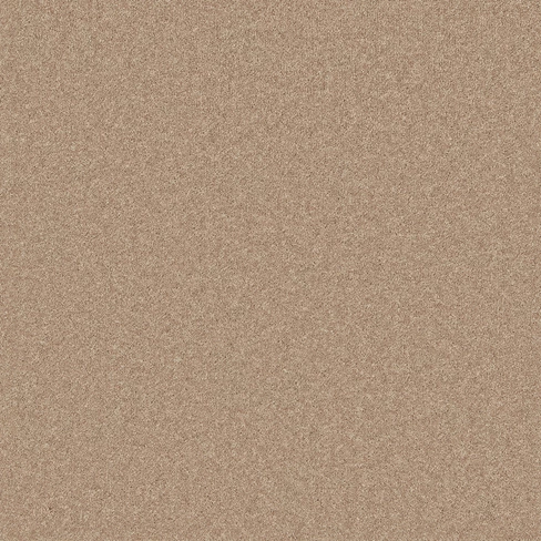 Pembroke Hickory