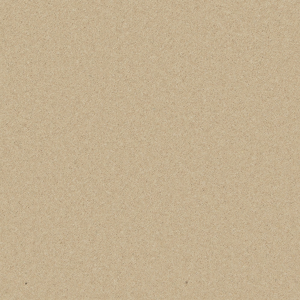 Pembroke carraway