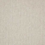 pimlico calico