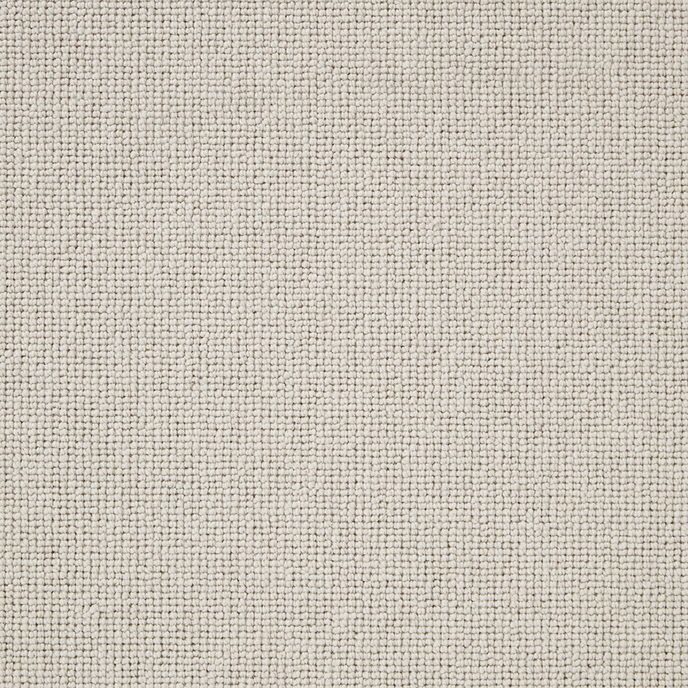 pimlico calico
