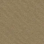 Echo CoRE Fingal Carpet