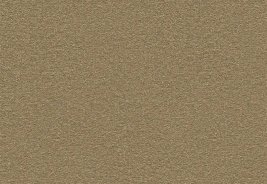 Echo CoRE Fingal Carpet