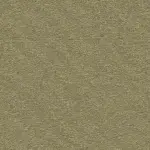 Echo CoRE Mossdale Carpet